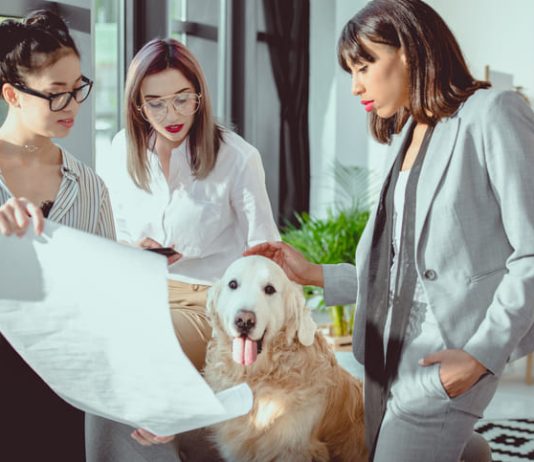Empathy and Discipline Are Building a New Pet Insurance Category