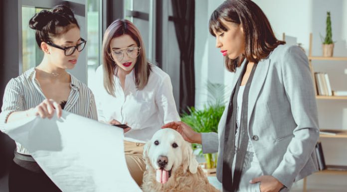 Empathy and Discipline Are Building a New Pet Insurance Category