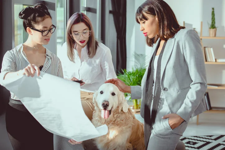 How Empathy and Discipline Are Building a New Pet Insurance Category