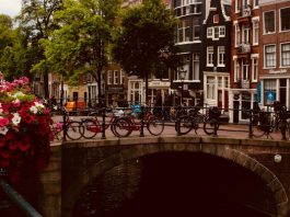 How to Hire in the Netherlands Without an Entity How to Hire in the Netherlands without an Entity