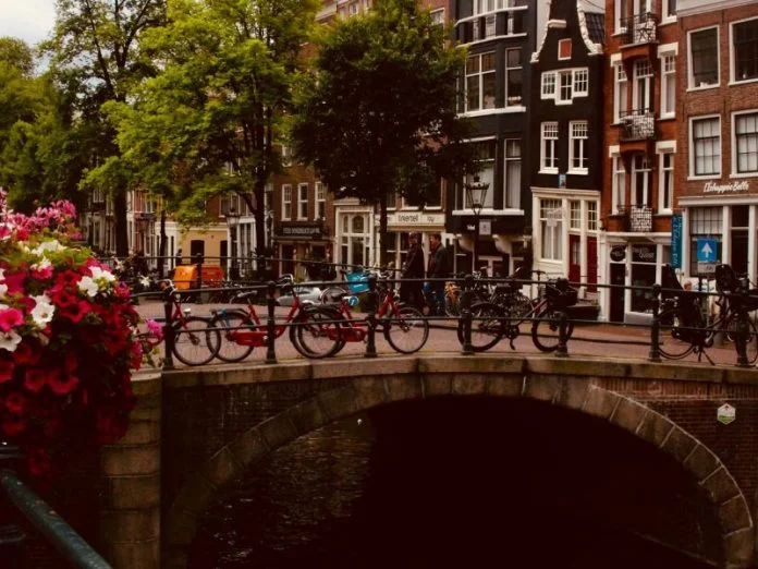 pexels-jack-winbow-460463-1187911 How to Hire in the Netherlands without an Entity