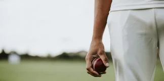 Cricket