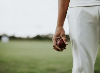 Cricket