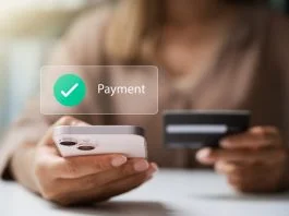 How Finland Became a Testbed for Instant Online Payment Models Instant Online Payment Models