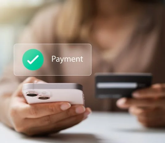 How Finland Became a Testbed for Instant Online Payment Models Instant Online Payment Models