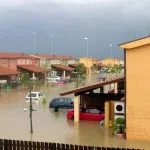 Flood and Disaster Vehicles Enter International Markets Faster Than Regulators Can Track Flood and Disaster Vehicles Enter International Markets Faster Than Regulators Can Track