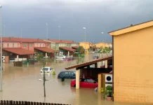 Flood and Disaster Vehicles Enter International Markets Faster Than Regulators Can Track Flood and Disaster Vehicles Enter International Markets Faster Than Regulators Can Track