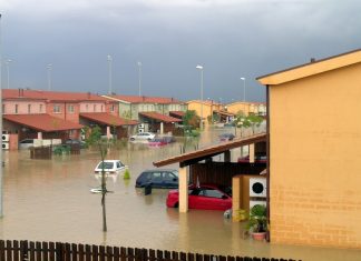 Flood and Disaster Vehicles Enter International Markets Faster Than Regulators Can Track