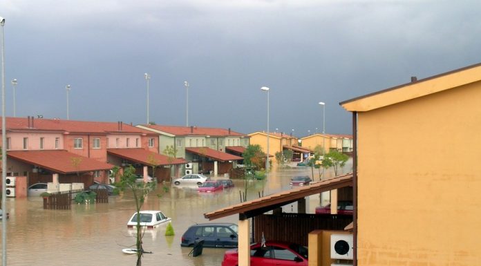 Flood and Disaster Vehicles Enter International Markets Faster Than Regulators Can Track