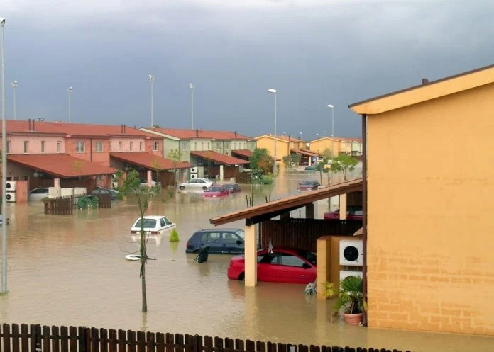Flood and Disaster Vehicles Enter International Markets Faster Than Regulators Can Track2 Flood and Disaster Vehicles Enter International Markets Faster Than Regulators Can Track