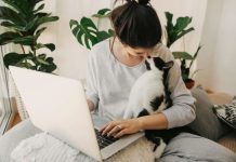Casual girl kissing with her cat and working on laptop, sitting together in modern room with pillows and plants. Reverse Pet Insurance concept