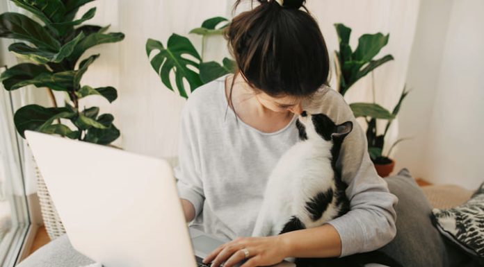 Casual girl kissing with her cat and working on laptop, sitting together in modern room with pillows and plants. Reverse Pet Insurance concept