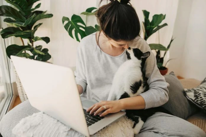 Casual girl kissing with her cat and working on laptop, sitting together in modern room with pillows and plants. Reverse Pet Insurance concept