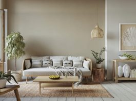 Creating Harmony at Home: Blending Function, Style, and Nature Cozy space with harmony