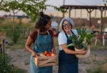 The Best Options to Donate to Sustainable Agriculture Projects in 2026: A Data-Driven Guide sustainable agriculture donations