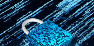 K2view vs DATPROF for Enterprise Data Masking Data Masking