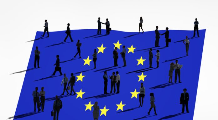 Why European Businesses Are Turning to Partnerships, Consolidation, and Cross-Border Growth European business growth