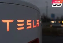 Tesla Robotaxi Rollout Slows Amid Expansion Challenges