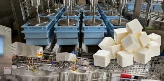 paneer production line