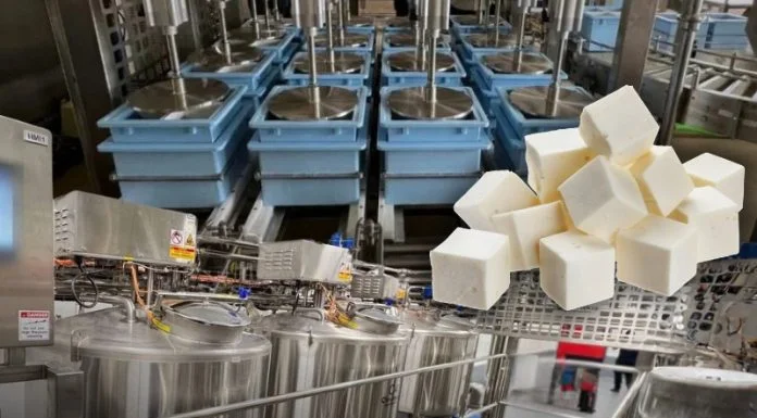 From Craft to Control: Agathangelou’s Approach to Paneer Production Lines Manufacturing paneer production line