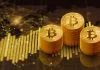 Crypto Staking – The Shift From Hardware Mining to Financial Commitment in Blockchain Consensus Crypto Staking