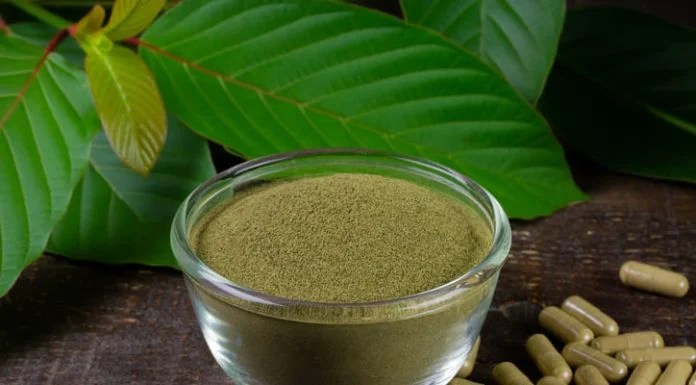 Exploring the Most Popular Kratom Strains and Why People Choose Them kratom strains
