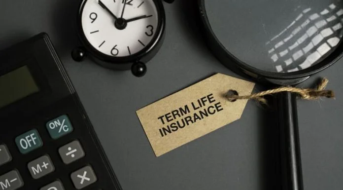 term insurance for protection