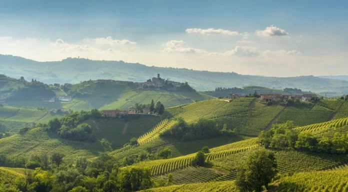 Inside the Langhe UNESCO World Heritage Site: Scarpa’s Place in Piedmont’s Most Protected Vineyards Langhe UNESCO World Heritage Site