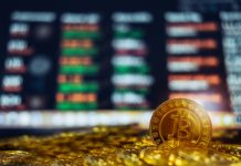 ZenVolt Review – Full Platform Overview ZenVolt Review
