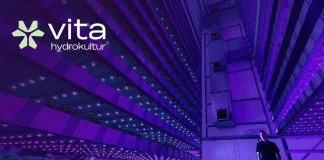 Vita Hydrokultur: Plant-Based Proteins for Premium Skincare Vita Hydrokultur