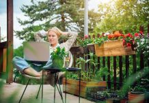 Working From Home in the Height of Summer: A Guide Working From Home - working on a laptop
