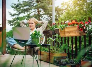 Working From Home in the Height of Summer: A Guide Working From Home - working on a laptop