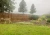 Effective Deer Control - Deer in backyard