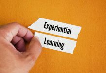 The Power of Experimental Learning (Part 2) experiential learning
