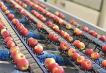 Food Roller Brushes