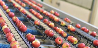 Food Roller Brushes: Washing, Grading, Peeling & Waxing Food Roller Brushes