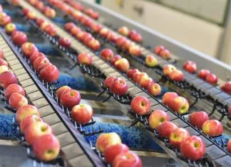 Food Roller Brushes