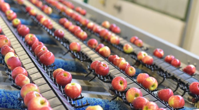 Food Roller Brushes: Washing, Grading, Peeling & Waxing Food Roller Brushes