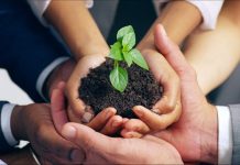 Beyond Terroir: Why Enduring Institutions are Built Through Stewardship Enduring Institutions Built Through Stewardship