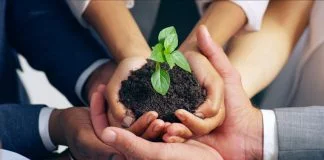 Enduring Institutions Built Through Stewardship