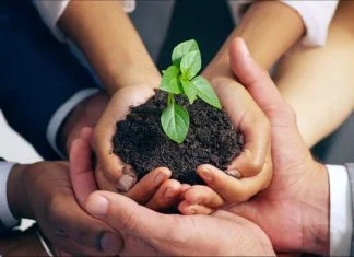 Beyond Terroir: Why Enduring Institutions are Built Through Stewardship Enduring Institutions Built Through Stewardship