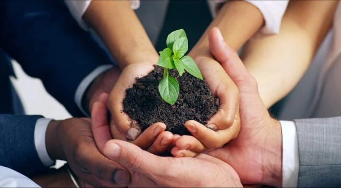 Beyond Terroir: Why Enduring Institutions are Built Through Stewardship Enduring Institutions Built Through Stewardship