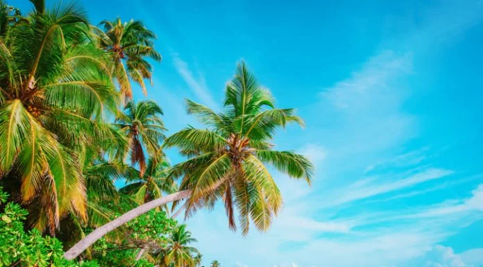 Where to Find the World’s Most Beautiful Islands and Beaches world’s most beautiful islands