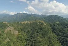 St. Kitts and Nevis investment