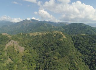 St. Kitts and Nevis investment