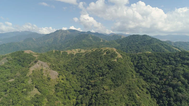 St. Kitts and Nevis Expands Investment Focus to Agriculture, Renewable Energy and Technology