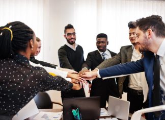 cultural citizenship in organisations
