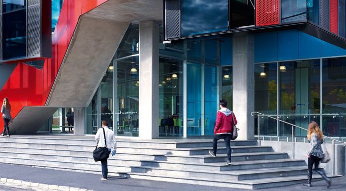 Why You Need a Business Education